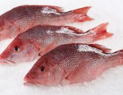 Red snapper, whole 1/2 to 1 lb), wild-caught and available in Wichita, Kansas, is a premium seafood option known for its mild, slightly sweet flavor and firm, flaky texture. Perfect for grilling, baking, or frying, whole red snapper retains its natural juices and enhances the depth of flavor in any dish. High in protein and omega-3s, itвЂ™s a nutritious and delicious choice for seafood lovers. Find fresh, high-quality whole red snapper at your trusted Wichita seafood market today.