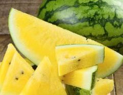 Variety: Classic red‑fleshed seeded watermelon (~20 lb), juicy and sweet with firm texture. Ideal for slicing at summer gatherings or retail display in Wichita, KS grocery stores. Grown vine‑ripened, supports local or regional suppliers. Perfect for whole‑melon signage or bulk order pick‑up.
