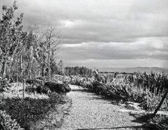 Keep your pets happy and healthy with Diamond Naturals Dry Food for Adult Dog, Beef and Rice from Mr. Mc's Market in Wichita, Kansas. Our Pet Supplies department has everything your furry or aquatic friends need. Wichita pet owners love shopping Mr. Mc's Market for convenient, affordable pet products.