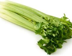 Order fresh celery in bulk from Mr. Mc’s Market in Wichita, Kansas. Ideal for restaurants, catering, and retail—get quality celery at competitive wholesale prices.
