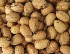 Add whole pecans 1 lb bags to your pantry from Mr. Mc's Market in Wichita, Kansas. We carry a wide selection of condiments, canned goods, and cooking essentials at great everyday prices. Wichita shoppers count on Mr. Mc's Market for all their pantry staples.