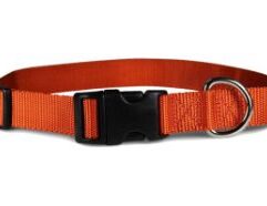 Keep your pets happy and healthy with 1" Kwik Klip Collar Adjusts 18-26 Omni Pet By Leather Brothers from Mr. Mc's Market in Wichita, Kansas. Our Pet Supplies department has everything your furry or aquatic friends need. Wichita pet owners love shopping Mr. Mc's Market for convenient, affordable pet products.