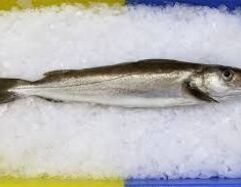 Wild Whole Whiting is available at Mr. Mc's Market in Wichita, Kansas. We carry a wide variety of quality products to serve all the needs of Wichita families and shoppers. Visit Mr. Mc's Market in Wichita, your neighborhood one-stop shop for everyday essentials.