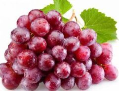 Grow a thriving garden with Red Seeded Grapes Wholesale from Mr. Mc's Market in Wichita, Kansas. Our Lawn & Garden department carries everything you need for a beautiful Kansas yard and garden. Stop by Mr. Mc's in Wichita and give your outdoor space the care it deserves.