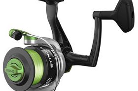 Zebco Stinger Spinning Fishing Reel, Size 60 – Wichita, KS Pick up Zebco Stinger Spinning Fishing Reel, Size 60 at Mr. Mc's Market in Wichita, Kansas, your local destination for fishing gear and tackle. Whether you're heading to Cheney Reservoir, the Arkansas River, or El Dorado Lake, this product is essential for any Wichita angler. Stop by Mr. Mc's Market and get everything you need for a great day on the water.