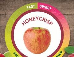 Enjoy sweet, juicy Honeycrisp apples from Mr. Mc’s Market in Wichita, Kansas! Perfect for snacking, baking, or adding to salads—fresh and full of crisp flavor.