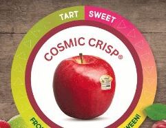 Buy Cosmic Crisp apples in bulk at wholesale prices from Mr. Mc’s Market in Wichita, Kansas. Ideal for retailers and food service—fresh, premium apples with long-lasting crunch.