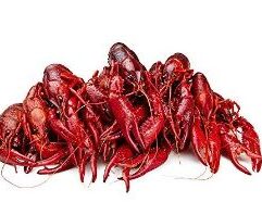 Pick up Whole Cooked Crawfish Jumbo at Mr. Mc's Market in Wichita, Kansas, your local destination for fishing gear and tackle. Whether you're heading to Cheney Reservoir, the Arkansas River, or El Dorado Lake, this product is essential for any Wichita angler. Stop by Mr. Mc's Market and get everything you need for a great day on the water.