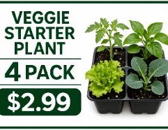 Grow a thriving garden with Starter Plants Veggie 4 Pack from Mr. Mc's Market in Wichita, Kansas. Our Lawn & Garden department carries everything you need for a beautiful Kansas yard and garden. Stop by Mr. Mc's in Wichita and give your outdoor space the care it deserves.