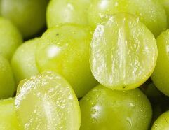 Grow a thriving garden with Green Seedless Grapes Wholesale from Mr. Mc's Market in Wichita, Kansas. Our Lawn & Garden department carries everything you need for a beautiful Kansas yard and garden. Stop by Mr. Mc's in Wichita and give your outdoor space the care it deserves.