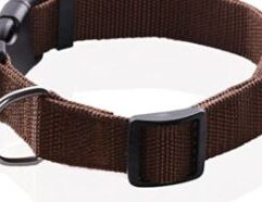 Keep your pets happy and healthy with 3/4" Kwik Klip Collar Adjusts 14-20" Omni Pet By Leather Brothers Autum from Mr. Mc's Market in Wichita, Kansas. Our Pet Supplies department has everything your furry or aquatic friends need. Wichita pet owners love shopping Mr. Mc's Market for convenient, affordable pet products.