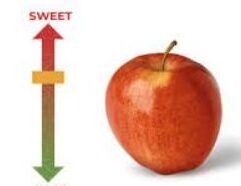 Pick up fresh Gala apples at Mr. Mc’s Market in Wichita, Kansas! Naturally sweet and crisp—perfect for healthy snacks, lunches, and desserts.