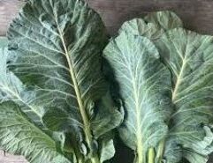 Get the freshest collard greens in Wichita, Kansas at Mr. Mc's Market! Perfect for your holiday feasts including Christmas, Thanksgiving, and more. Our collard greens are known for their size, freshness, and unbeatable flavor. Choose from locally sourced Kansas greens or premium greens from South Carolina and Georgia. Pre-order now to ensure you have the best-tasting greens for your holiday meals!