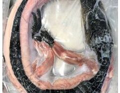 Whole Alligator is available at Mr. Mc's Market in Wichita, Kansas. We carry a wide variety of quality products to serve all the needs of Wichita families and shoppers. Visit Mr. Mc's Market in Wichita, your neighborhood one-stop shop for everyday essentials.