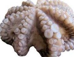 Octopus 2-4 lbs - ea is available at Mr. Mc's Market in Wichita, Kansas. We carry a wide variety of quality products to serve all the needs of Wichita families and shoppers. Visit Mr. Mc's Market in Wichita, your neighborhood one-stop shop for everyday essentials.