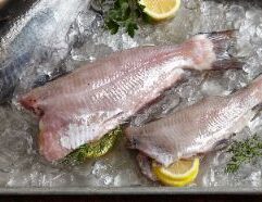 Pick up 11-13 oz Whole Catfish, Farm-Raised in the USA at Mr. Mc's Market in Wichita, Kansas, your local destination for fishing gear and tackle. Whether you're heading to Cheney Reservoir, the Arkansas River, or El Dorado Lake, this product is essential for any Wichita angler. Stop by Mr. Mc's Market and get everything you need for a great day on the water.